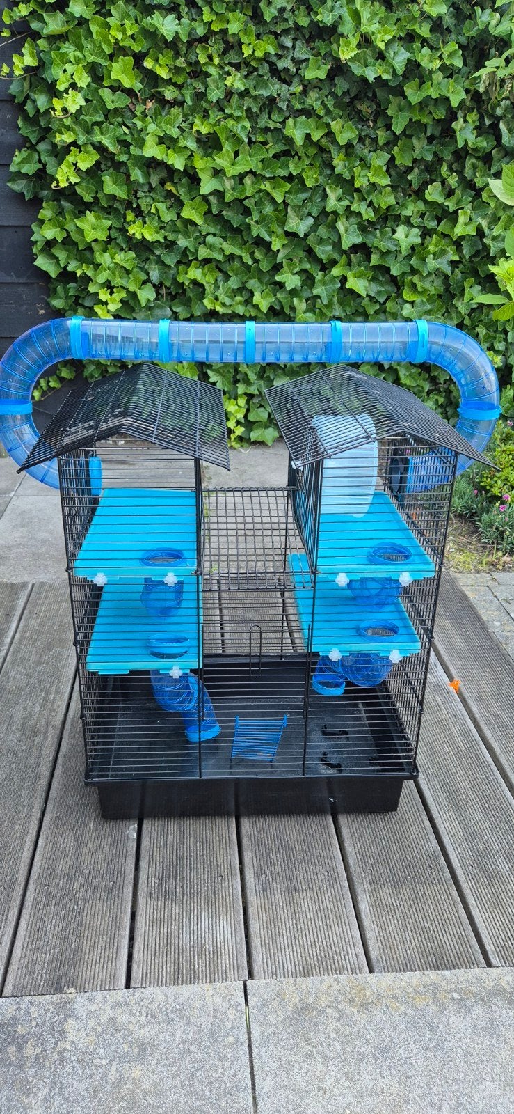 Hamster kooi, Kooi, Gebruikt, Minder dan 75 cm, Hamster
