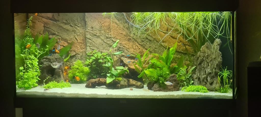 Juwel 180 liter, Ophalen, Gebruikt, Leeg aquarium, Verwarming