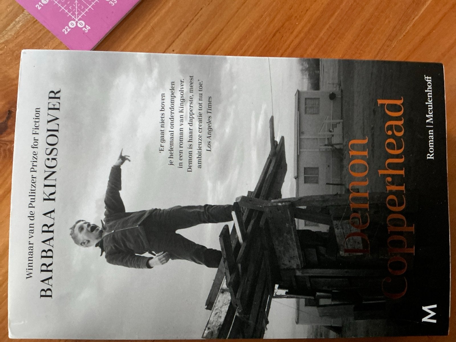 Demon Copperhead - Barbara Kingsolver (Boek), Ophalen of Verzenden, Zo goed als nieuw, Europa overig