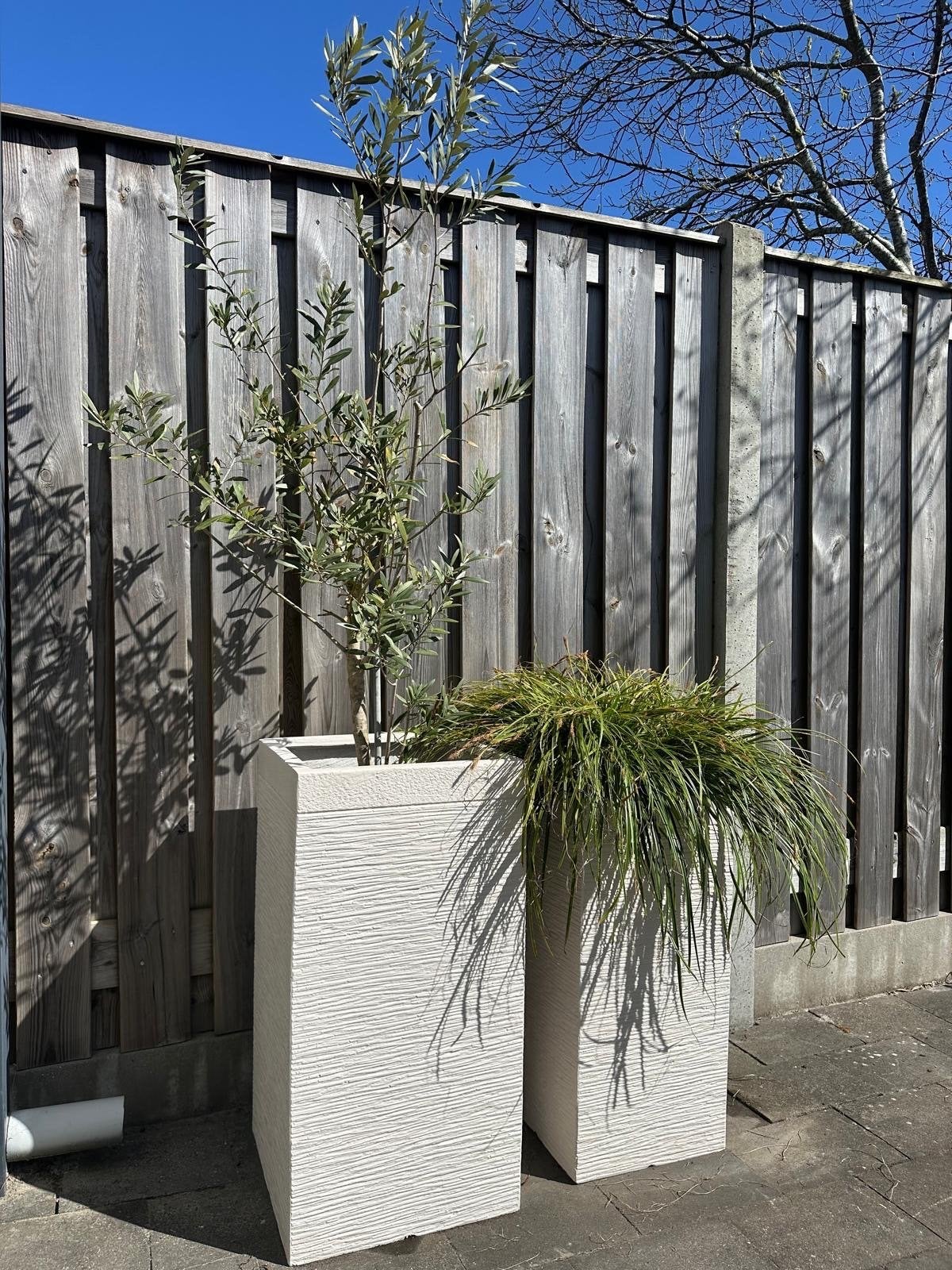Grote plantenbak (met scheur), Ophalen, Gebruikt, Minder dan 60 cm, Balkon