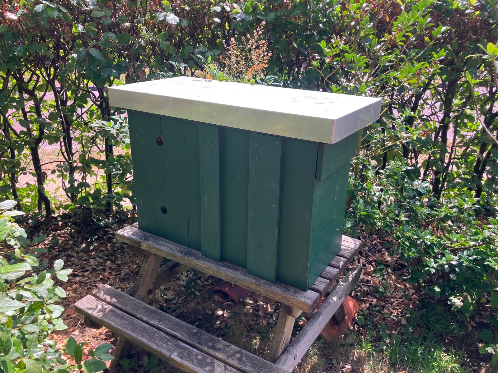 Bijenkast- Einraumbeute te koop, Dieren en Toebehoren, Insecten en Spinnen, Bijen