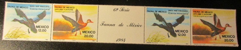 Mexico, Muskuseend en Zwartbuikfluiteend, brugpaar,1984, Verzenden, Dier of Natuur