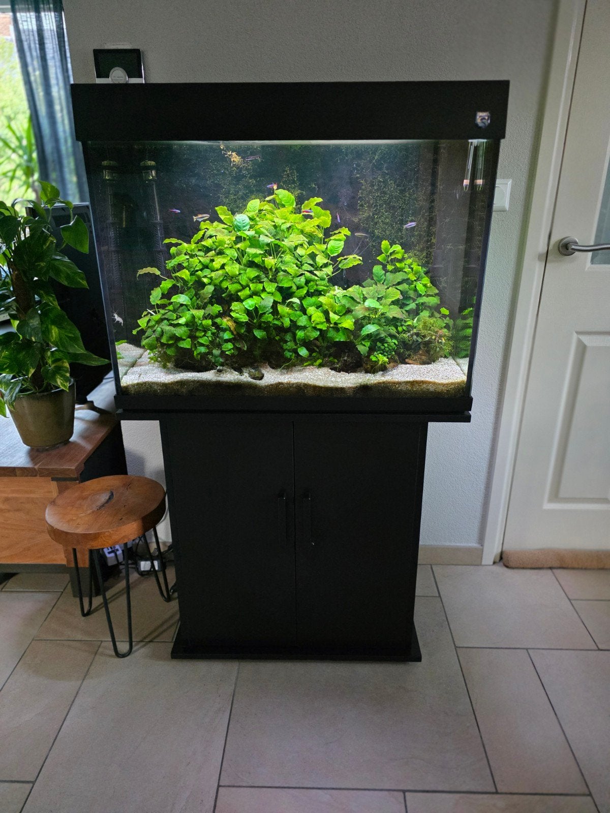 Trofis aquarium inclusief meubel, Dieren en Toebehoren, Vissen | Aquaria en Toebehoren, Ophalen, Gebruikt, Overige merken, Gevuld zoetwateraquarium