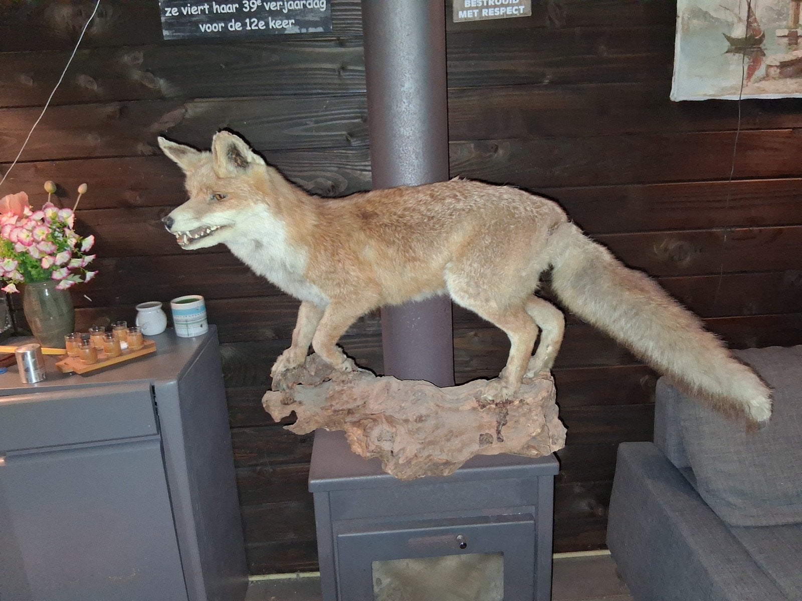 Opgezette vos taxidermie op voetstuk/houtstuk, Verzamelen, Dierenverzamelingen, Ophalen, Gebruikt, Wild dier, Opgezet dier