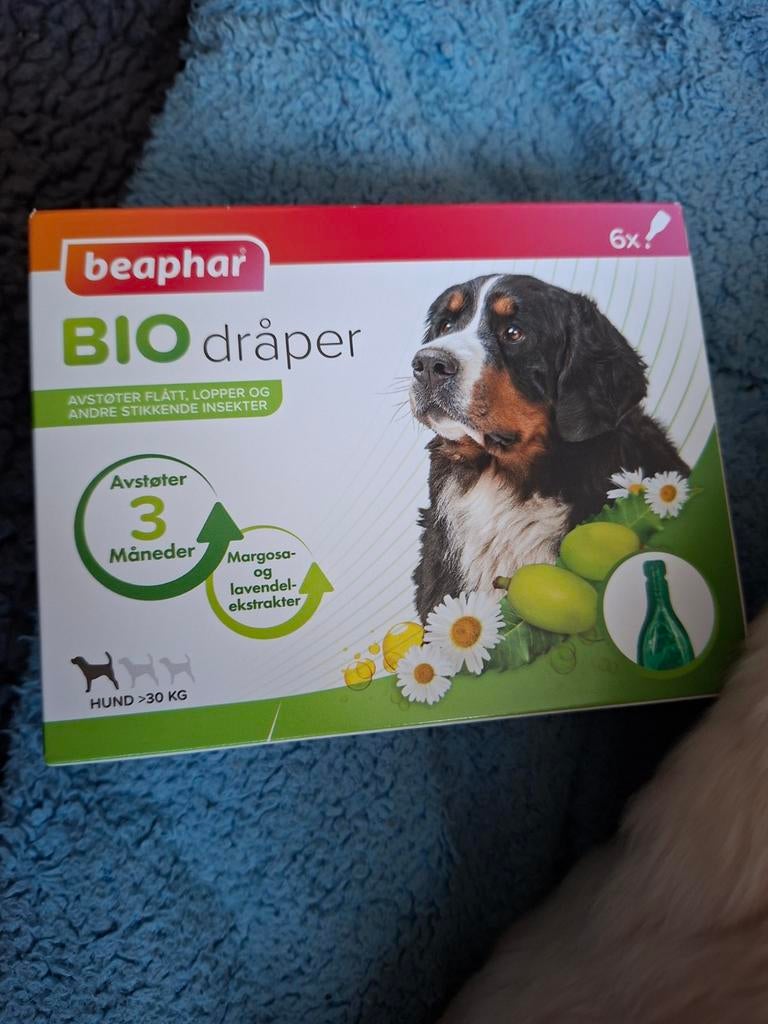 Vlooien en teken druppels 6x voor 30kilo +, Ophalen of Verzenden, Nieuw
