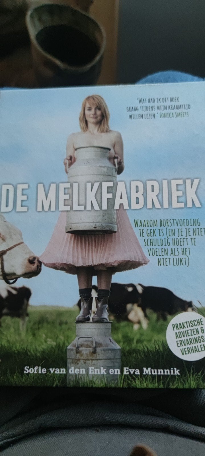 De Melkfabriek: Borstvoeding, advies en ervaringen, Boeken, Ophalen of Verzenden, Gelezen, Zwangerschap en Bevalling, Sofie van den Enk en Eva Munnik