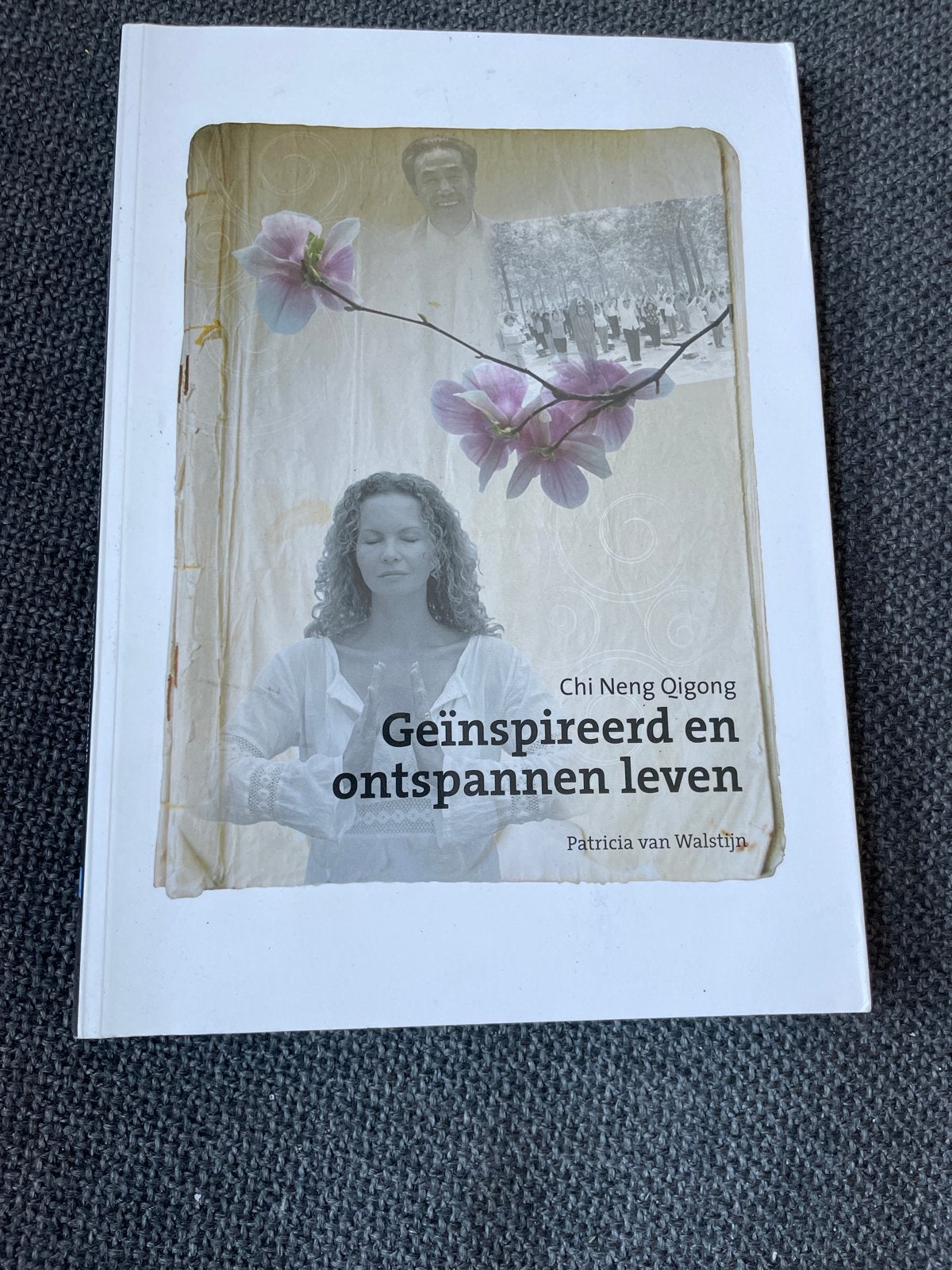 Chi Neng Qigong Geinspireerd en ontspannen leven, Boeken, Ophalen of Verzenden, Zo goed als nieuw