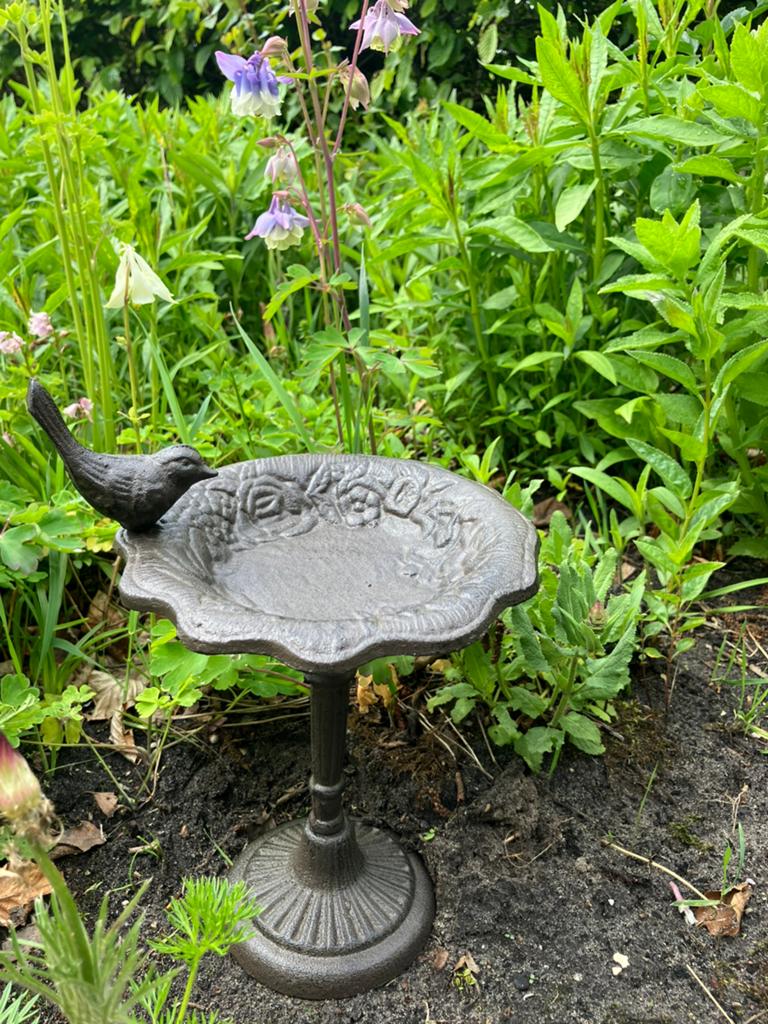 Gietijzeren vogelbadje op voet, Ophalen of Verzenden, Nieuw