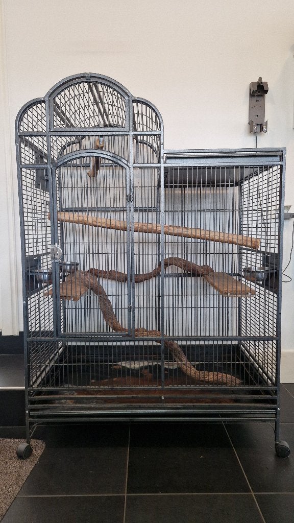 Grote papagaaienkooi, Dieren en Toebehoren, Vogels | Hokken en Kooien, Ophalen, Gebruikt, Metaal, Vogelkooi