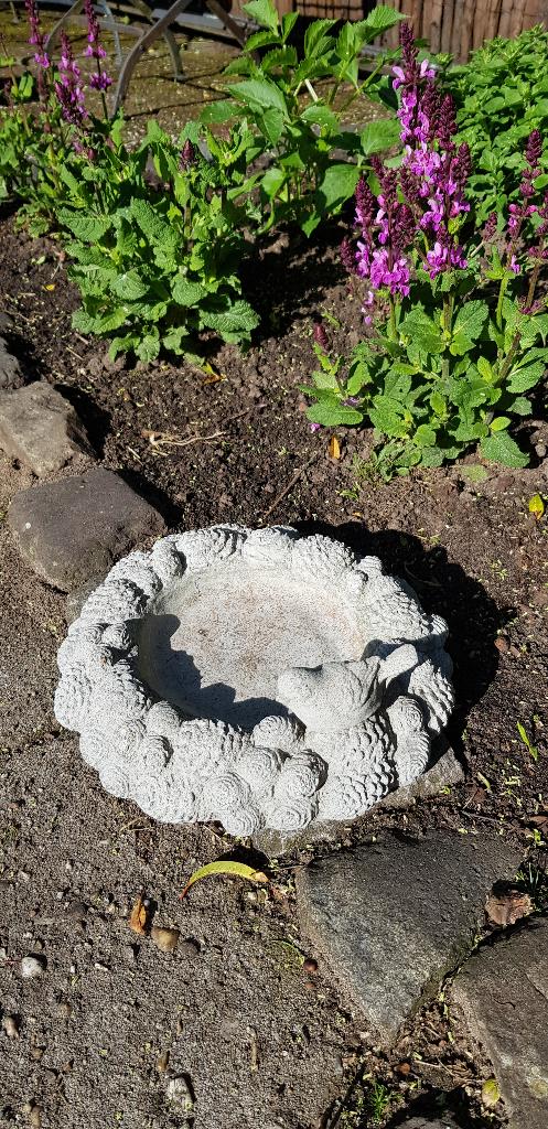 Vogelbadje voeder- drinkschaal  beton. Decoratie tuin balkon, Tuin en Terras, Ophalen of Verzenden, Nieuw