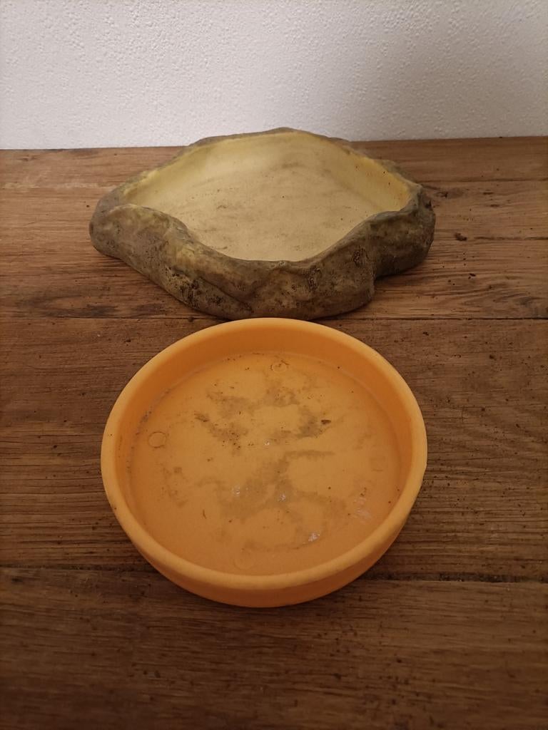 Water badje + voerbakje voor terrarium, Dieren en Toebehoren, Ophalen