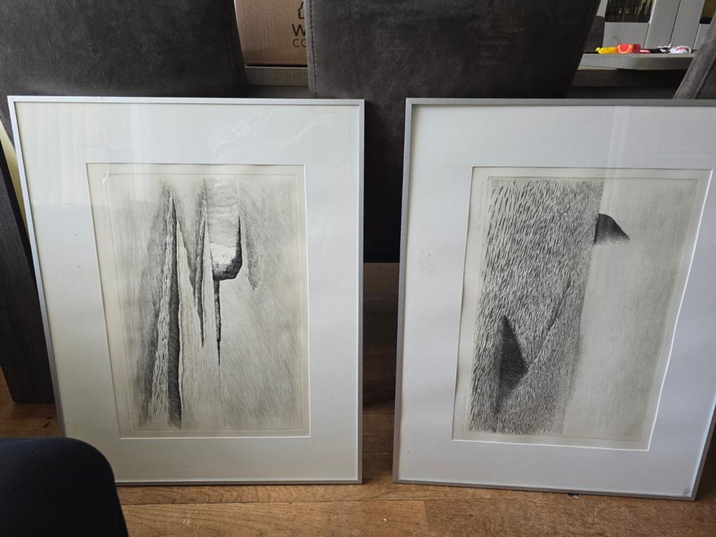 Jan Hein van Rooy - Diepdrukken (1987) - 2 etsen, Antiek en Kunst, Kunst | Etsen en Gravures, Ophalen, Ingelijst, Landschap, 1950 - 1999