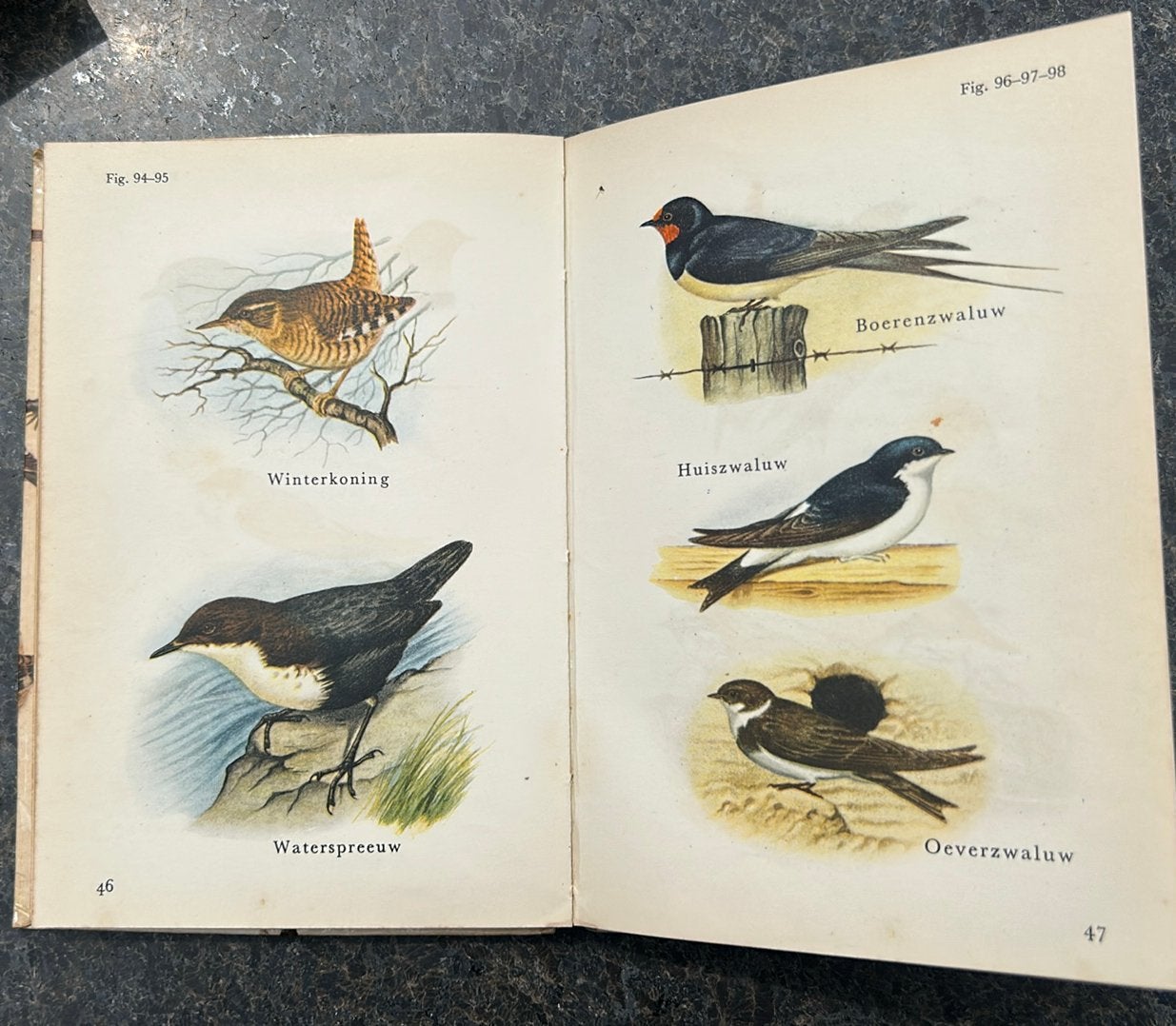 Vogels in Kleuren - Meulenhoffs Natuurgidsen (1e druk 1956), Antiek en Kunst, Antiek | Boeken en Bijbels, Ophalen of Verzenden