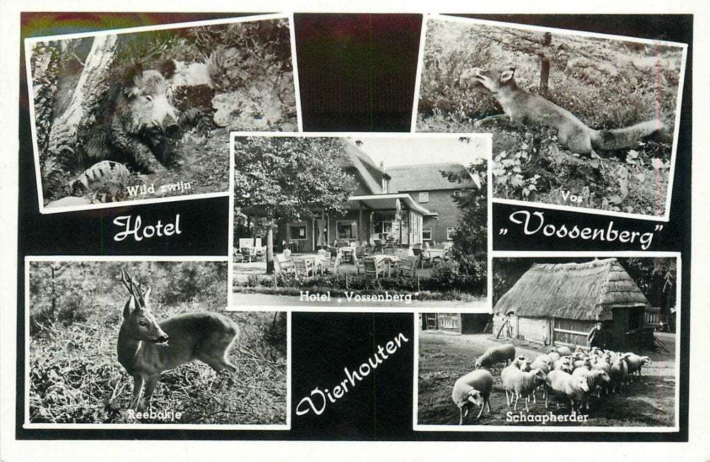 379-238-037 Vierhouten Vossenberg, Verzenden, Voor 1920, Gelderland