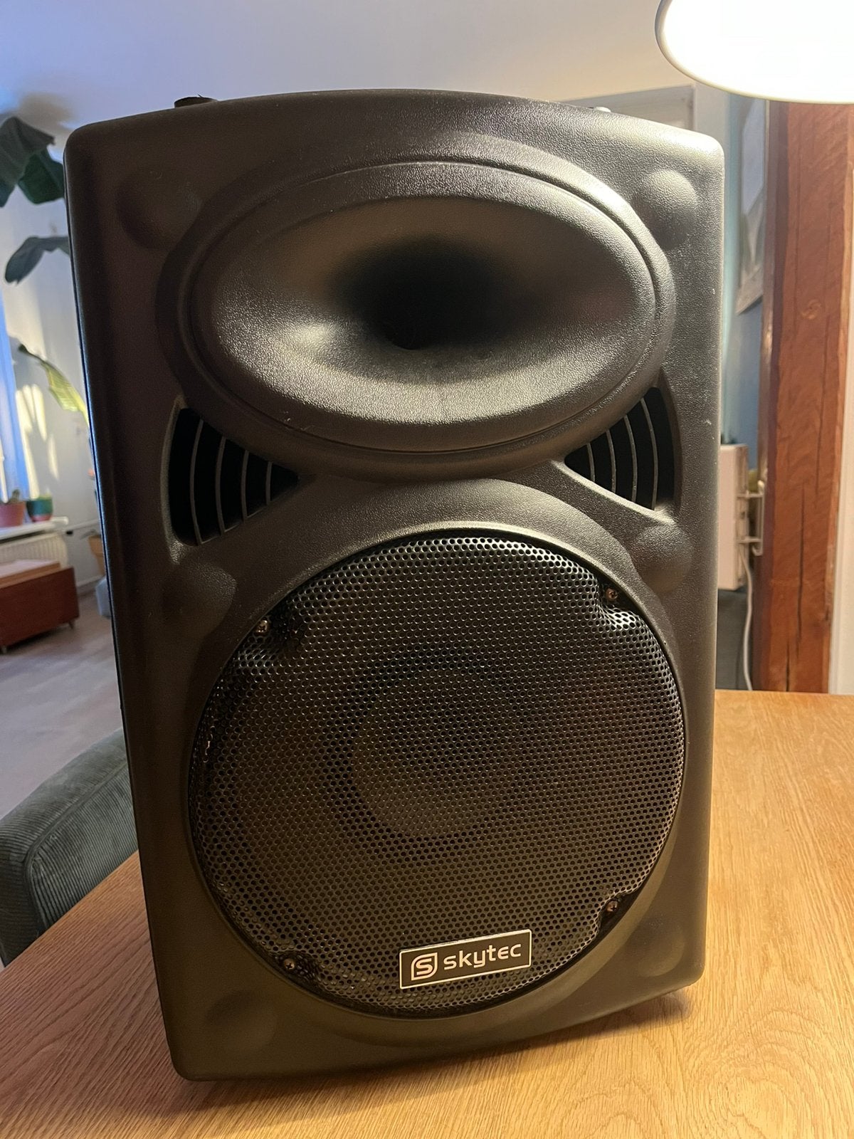 Skytec ST-090 Party Speaker - Krachtige Draagbare Speaker, Audio, Tv en Foto, Luidsprekers, Gebruikt, Party speaker, USB-aansluiting