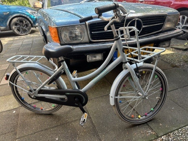 Meisjesfiets 20 inch, Ophalen, Gebruikt, 20 inch of meer