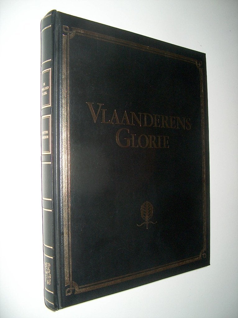 De zinnelozen te Geel - Renier Snieders en J. Al. Peeters, 20e eeuw of later, Ophalen of Verzenden, Zo goed als nieuw, Albert Van Hageland
