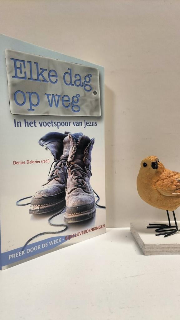 Delozier, Denise;Elke dag op weg (In het voetspoor van Jezus, Boeken, Ophalen of Verzenden, Gelezen, Christendom | Protestants