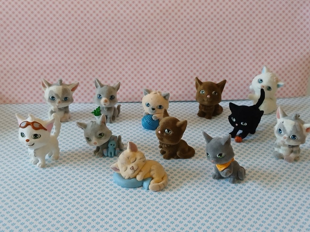 Kitty in My Pocket, Ophalen of Verzenden