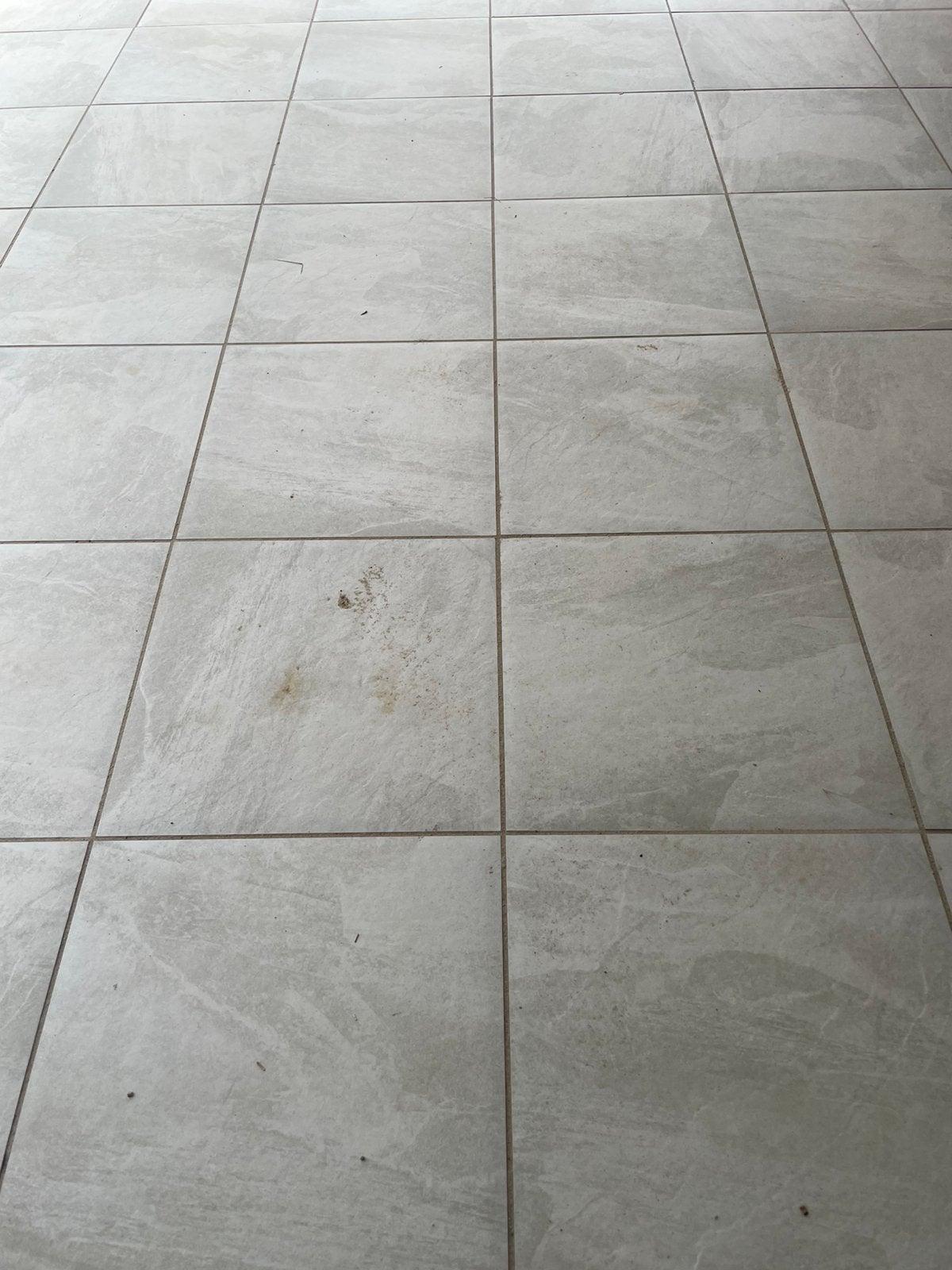 Keramische tegels SolidSquare 60x60x3 cm durban slate beige, Keramiek, Nieuw, Gecoat, Terrastegels