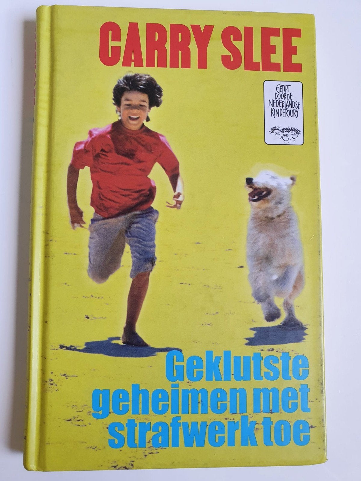 Boek geklutste geheimen met huiswerk toe, Boeken, Ophalen of Verzenden