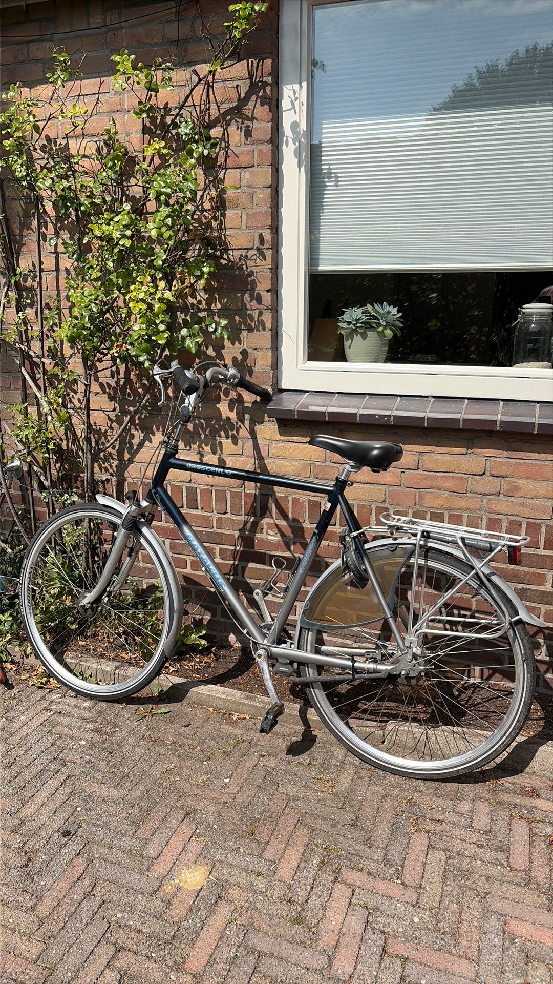 Batavus Crescendo opknapper, Ophalen, Terugtraprem, Gebruikt, Versnellingen