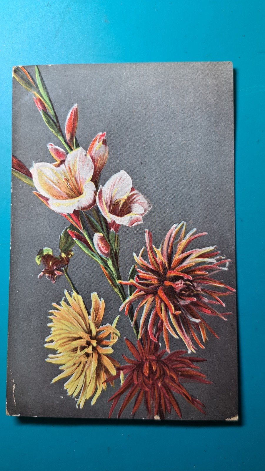 Gladiool Dahlia 1911, uitgave R&K L serie 1318, Ophalen of Verzenden, Voor 1920, Gelopen