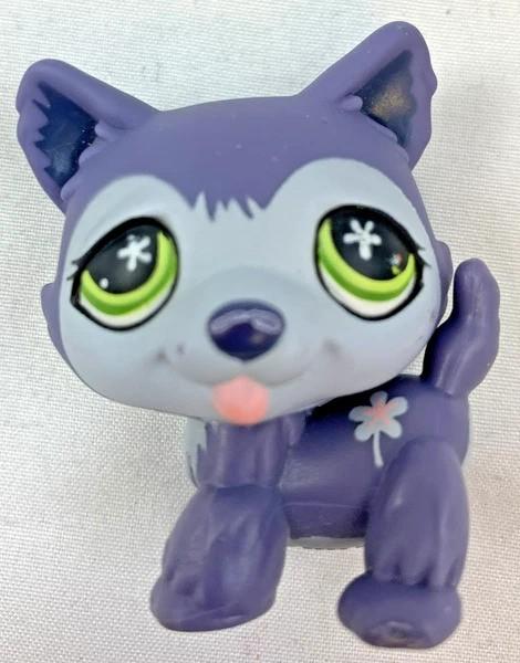 Littlest Pet Shop Hasbro LPS #487 Husky Hond Paars Grijs, Coolsingel 104, 3011 AG Rotterdam, Netherlands, Verzenden, Zo goed als nieuw