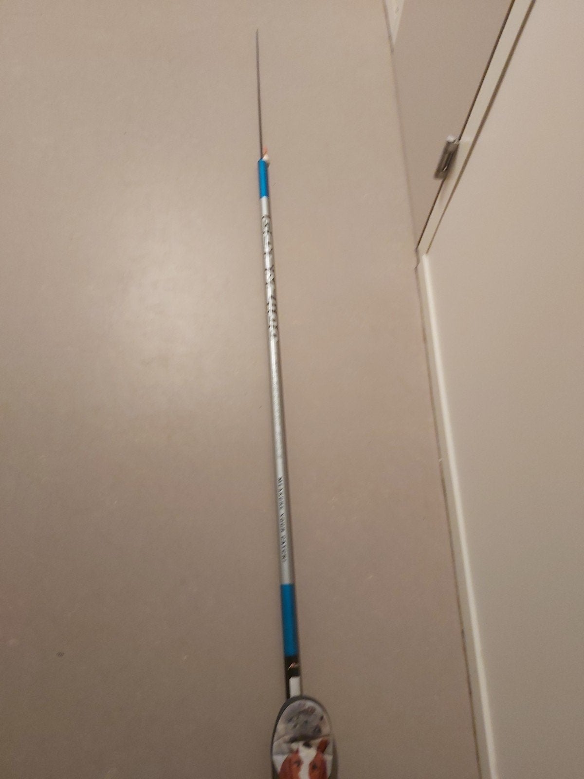 vishengel met voorraadspullen er bij, Ophalen, Zo goed als nieuw, Complete hengel
