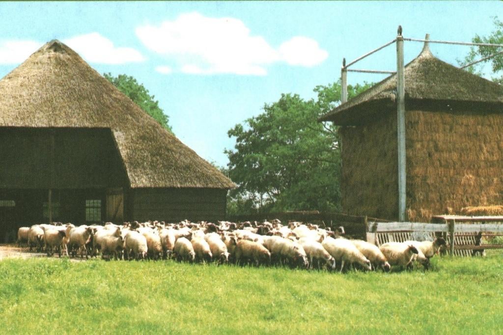988004 Dr 80+ Schaapskudde Hooiberg  mooie zegel Eurozegel, Ophalen of Verzenden, 1980 tot heden, Gelopen, Drenthe