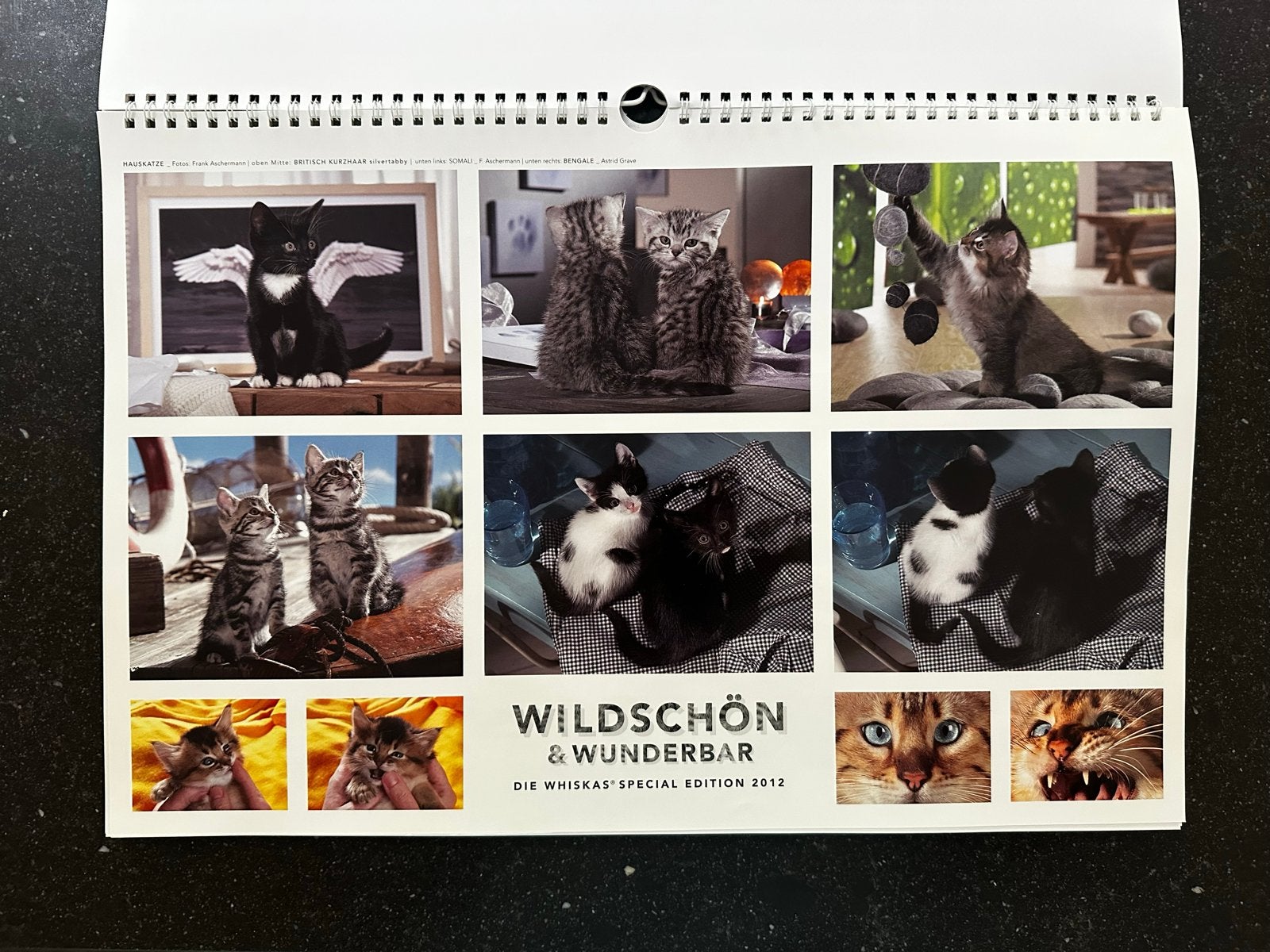 Drie prachtige Whiskas katten kalenders, Ophalen of Verzenden