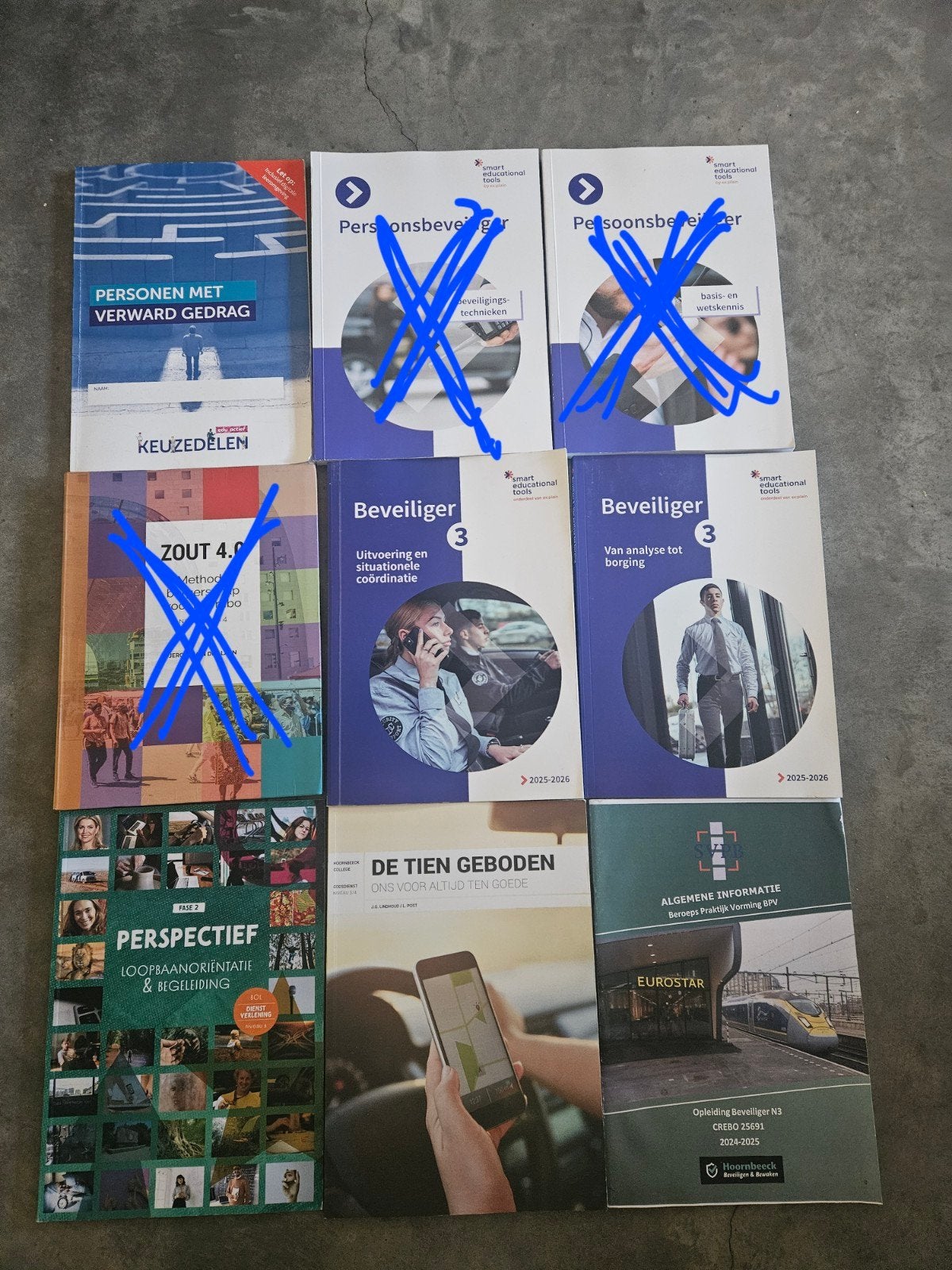 Beveiliging niveau 2/3 2e leerjaar (Hoornbeeck College), Verzenden, Zo goed als nieuw, Overige niveaus