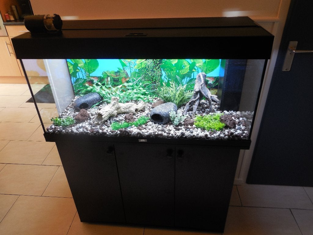 complete juwel rio 180 led, Gebruikt, Leeg aquarium, Juwel, Ophalen
