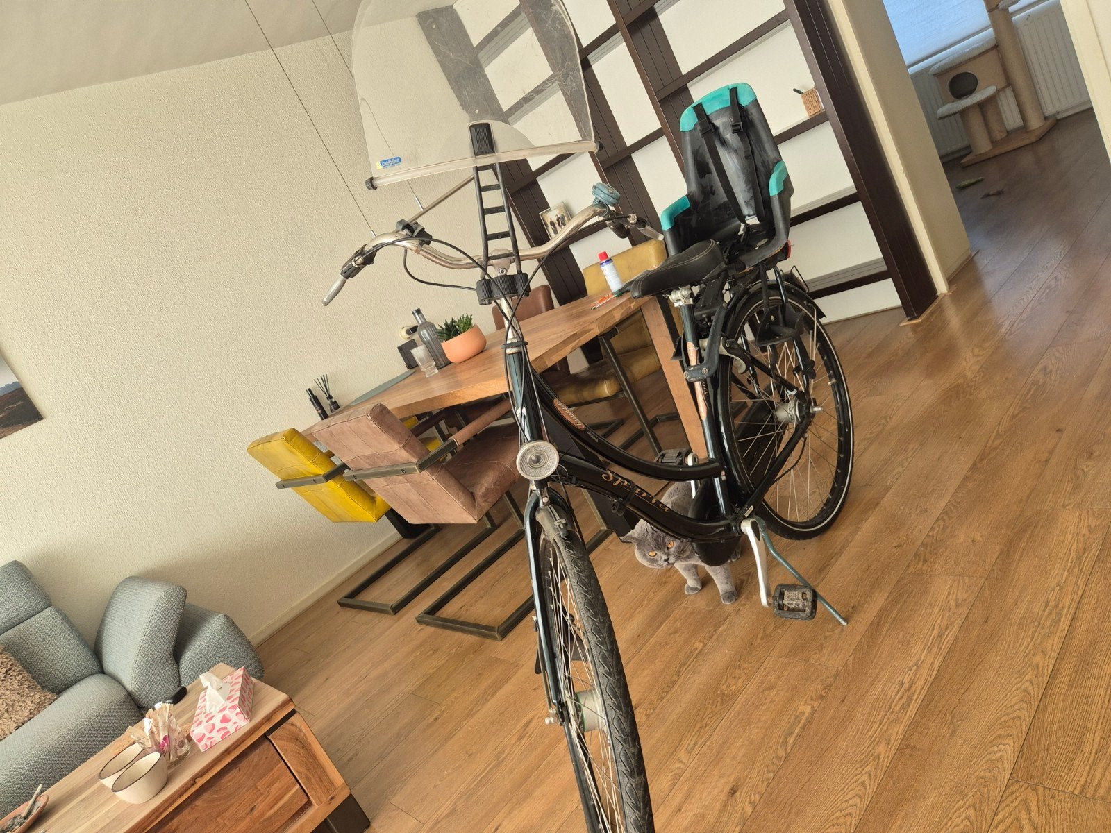 Sparta fiets met kinderzitje en windscherm - voorband lek, Fietsen en Brommers, Fietsen | Dames | Damesfietsen, Ophalen of Verzenden