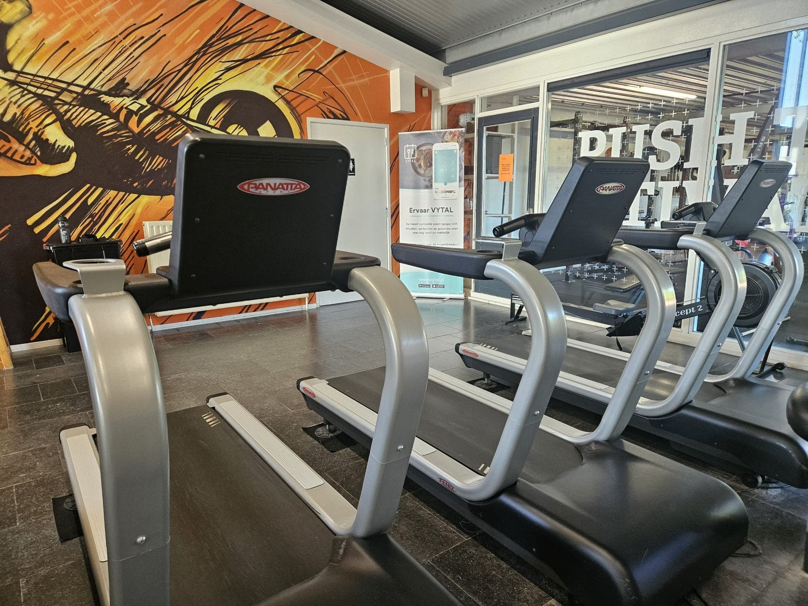 2 cardio apparaten van het merk Panatta te koop, Ophalen of Verzenden, Gebruikt, Overige typen