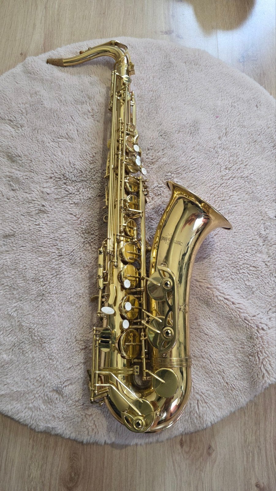 Tenor Saxofoon, Ophalen, Tenor, Met koffer