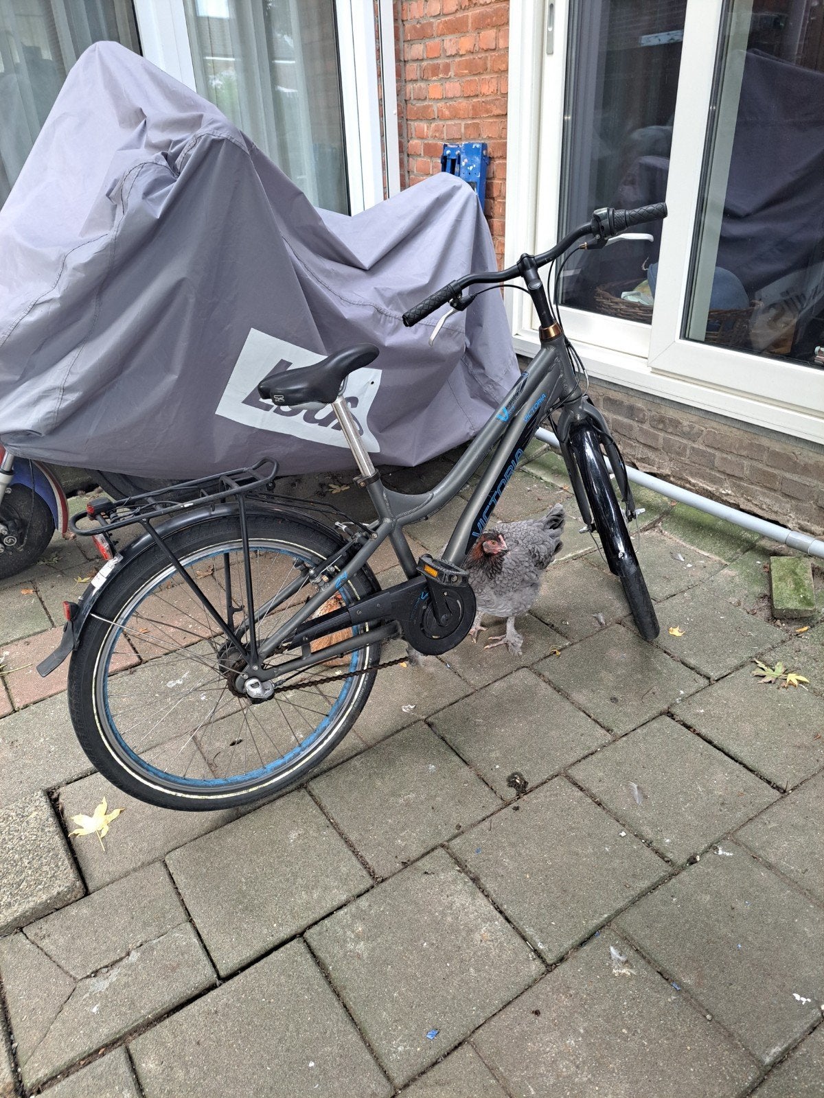Victoria Kinderfiets - Zo goed als nieuw, Ophalen