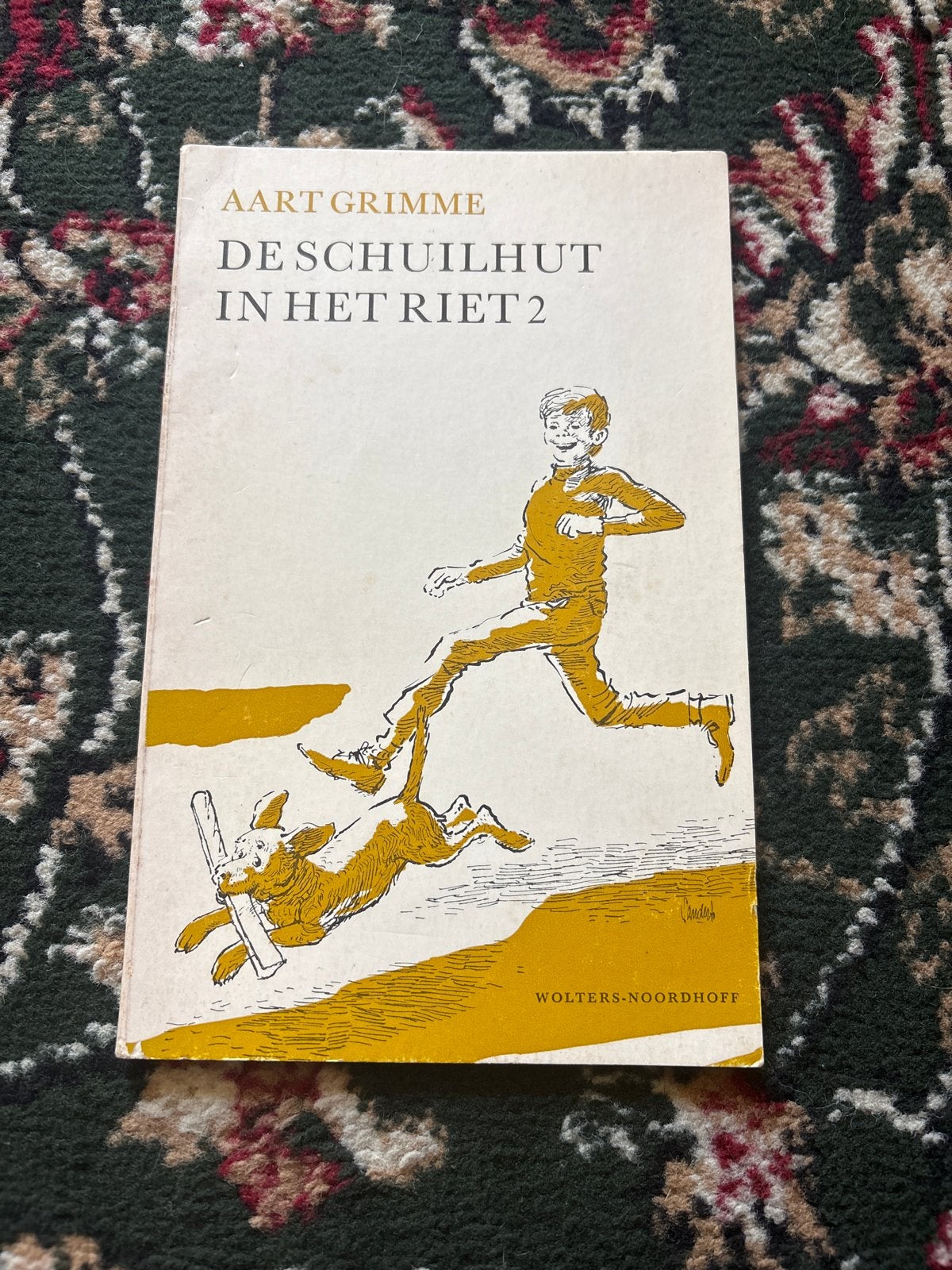 Aart Grimme - De schuilhut in het riet 2, Ophalen of Verzenden, Gelezen, Fictie algemeen