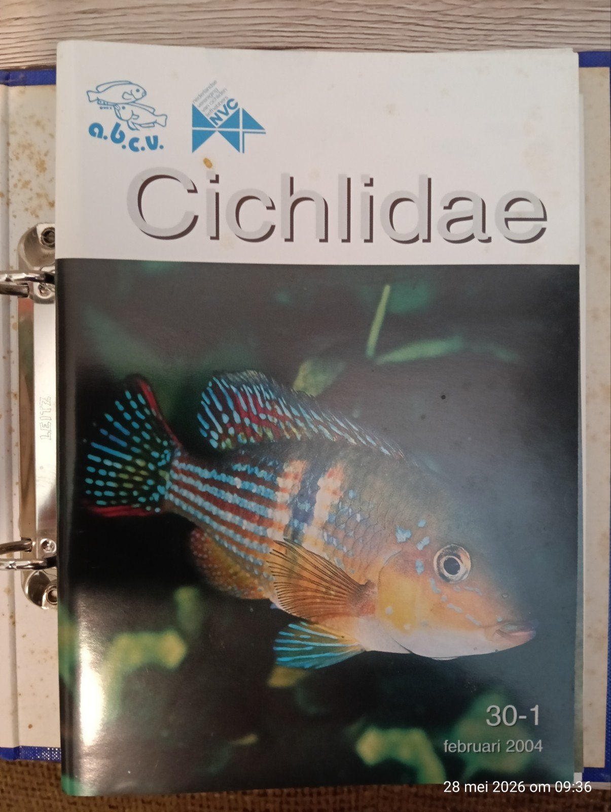 Cichlidae, tijdschrift over cichliden. Jaargang1995 t/m 2004, Boeken, Gelezen, Verzenden, Nederlandse vereniging van Cichliden liefhebbers