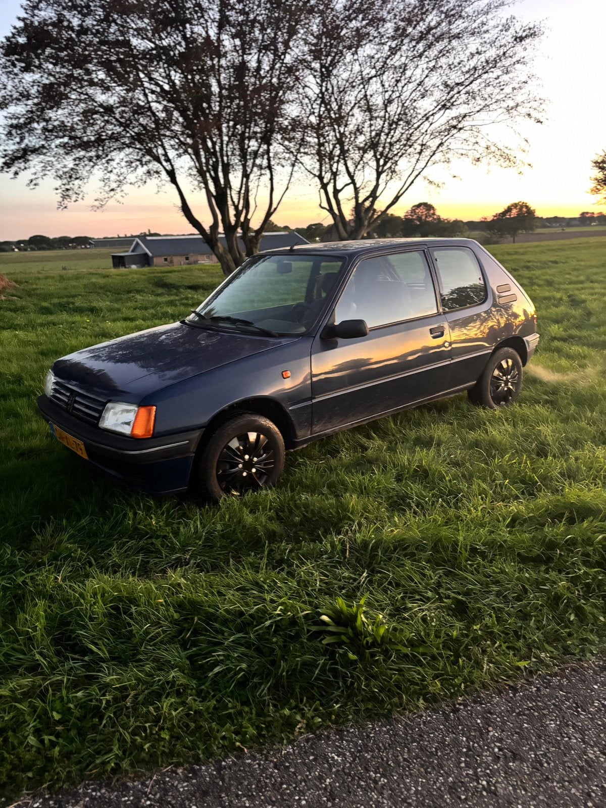 Peugeot 205 1.4 Generation 1997 Blauw, Stof, 4 cilinders, Blauw, Handgeschakeld