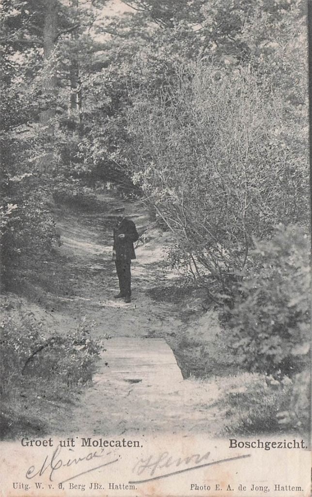 702-310-033 Groet Uit Molecaten Hattem Boschgezicht, Verzenden, Voor 1920, Gelderland