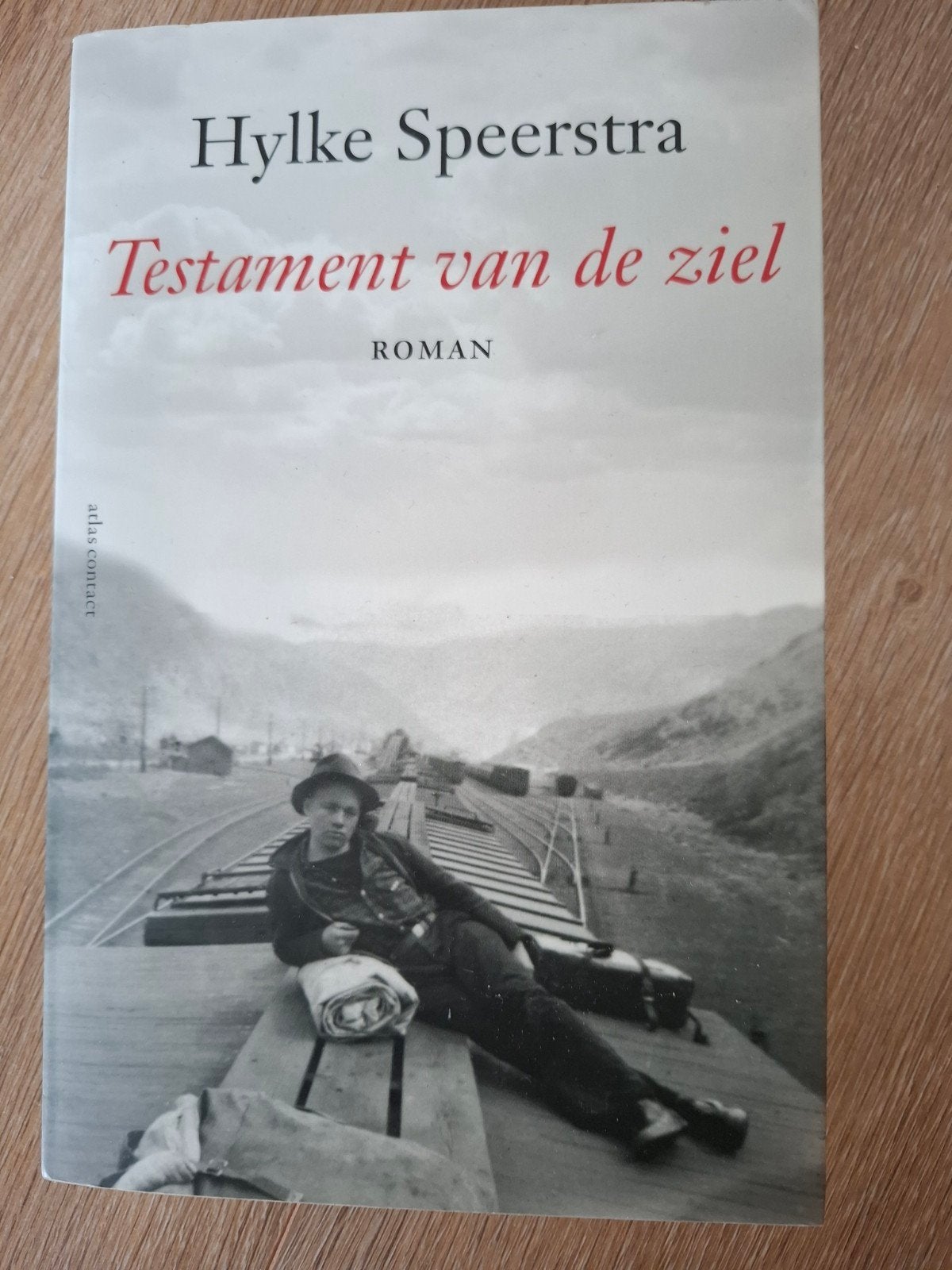 Testament van de ziel - Hylke Speerstra (Roman), Boeken, Ophalen of Verzenden, Gelezen, Hylke Speerstra
