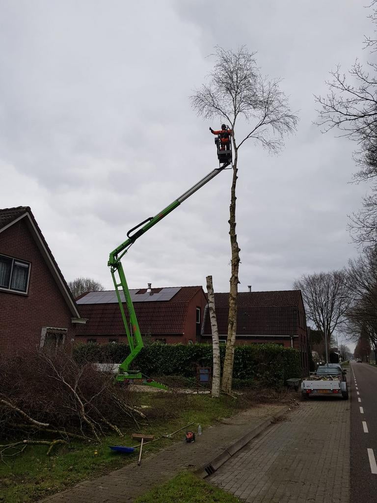 Bomen snoeien, kappen, rooien, en verder tuinonderhoud, Diensten en Vakmensen, Tuinmannen en Stratenmakers