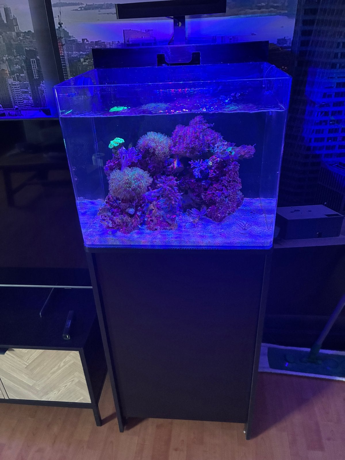 Mooie Blue marine reef 90 aquarium met kast en inhoud, Overige typen