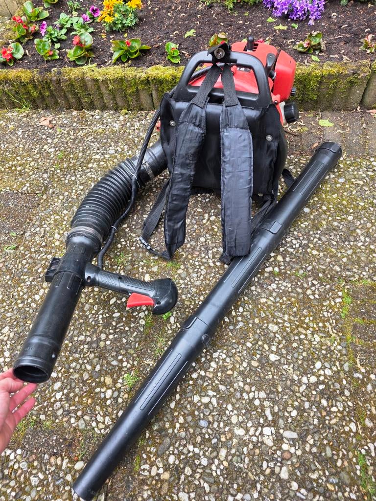 Blad blazer, Tuin en Terras, Bladblazers, Ophalen of Verzenden