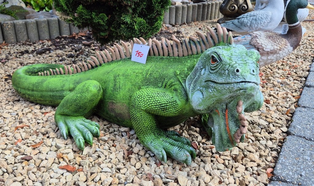 Polyester leguaan 1mlang, Tuin en Terras, Tuinbeelden, Ophalen, Nieuw, Kunststof, Dierenbeeld
