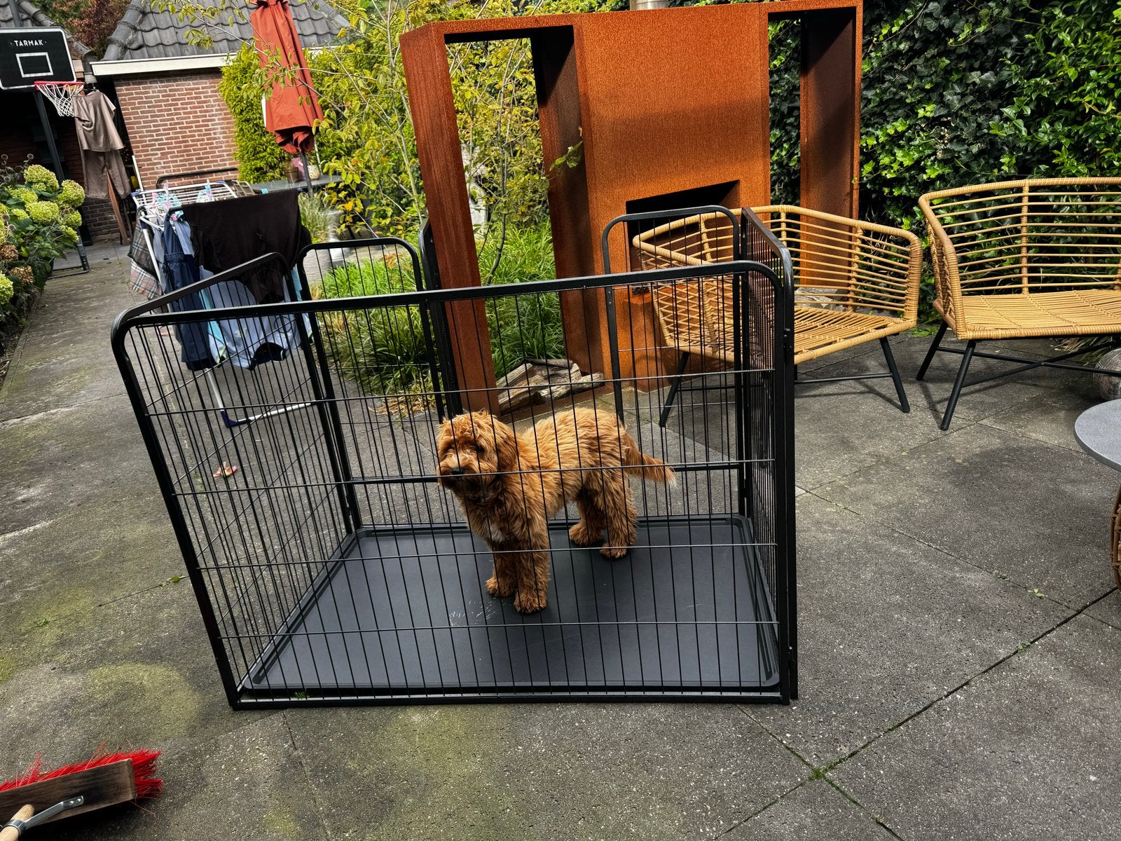 Puppyren, Ophalen