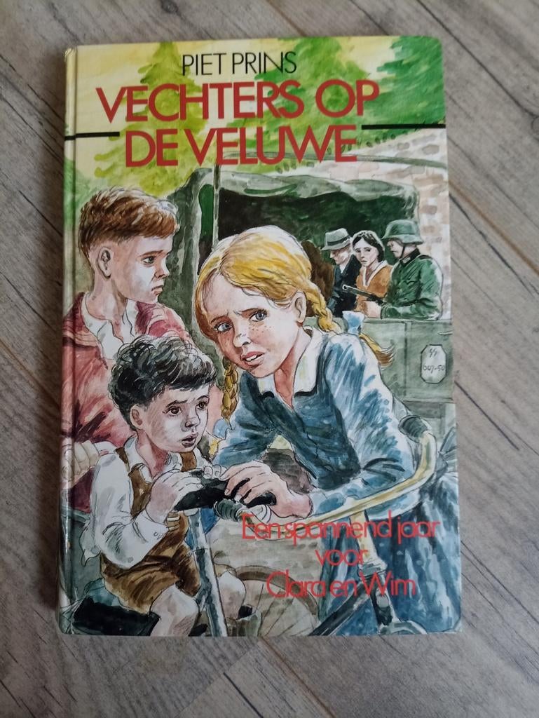 Piet Prins / vechters op de Veluwe, Ophalen of Verzenden, Gelezen