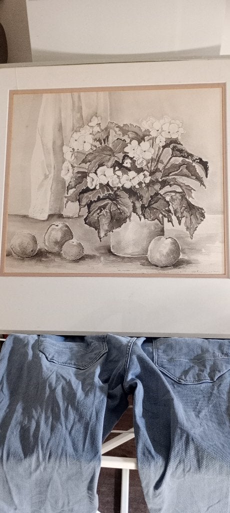 Litho, Ingelijst, Ophalen, Overige onderwerpen, Lithografie