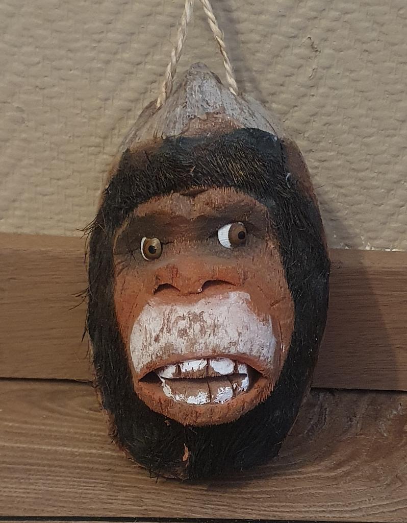 Gorilla hoofd gemaakt van een Kokosnoot, Ophalen of Verzenden